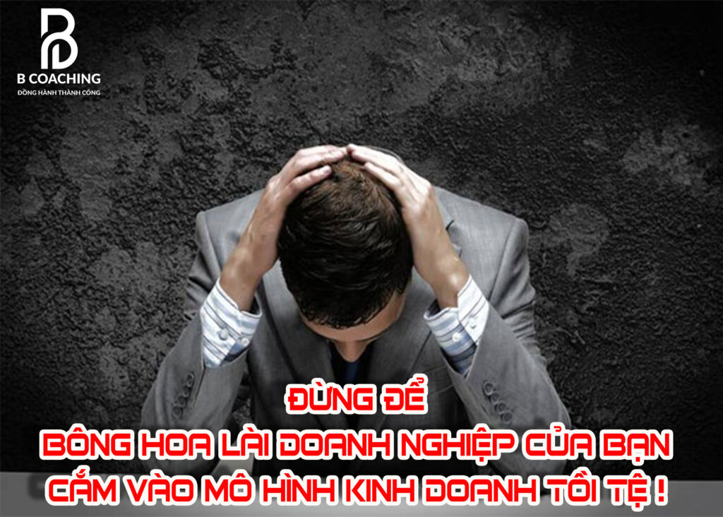 dung-de-that-bai-vi-mo-hinh-kinh-doanh-te