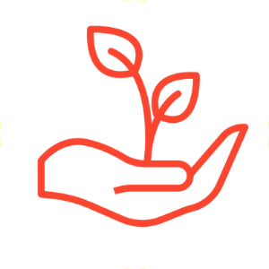 Thiết-kế-không-tên-(1)