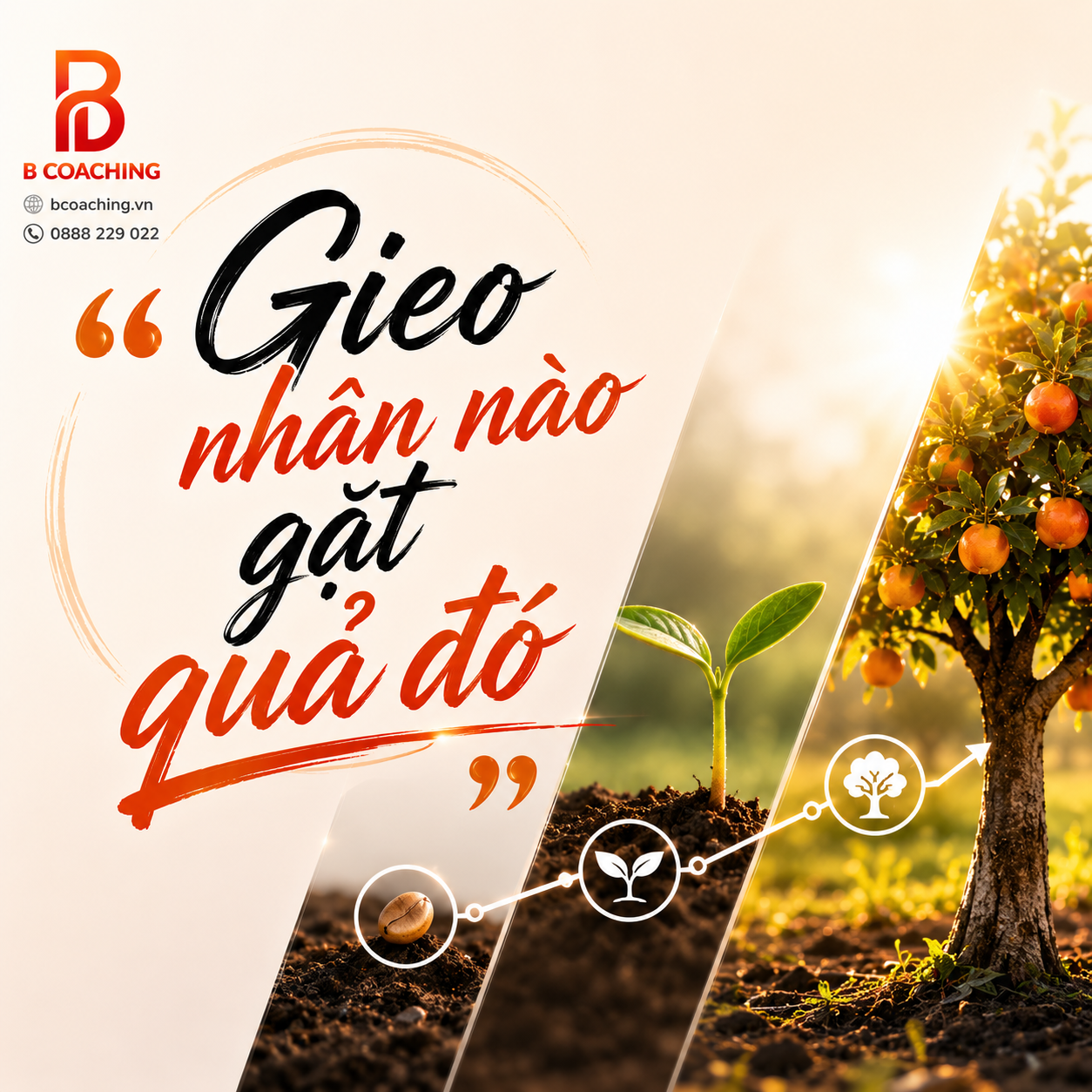 gieo nhân nào gặt quả đó
